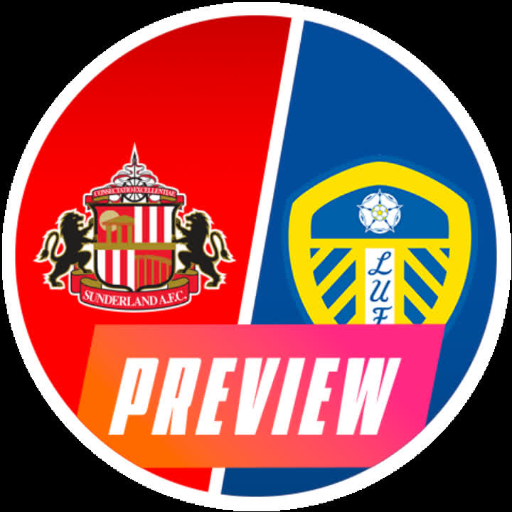 Sunderland vs Leeds United 프리미어리그 매치 이미지